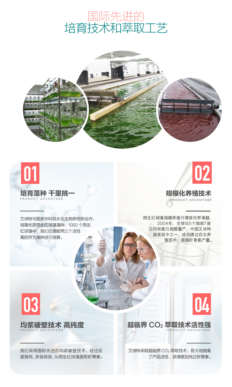 艾诗特南宫电子官网