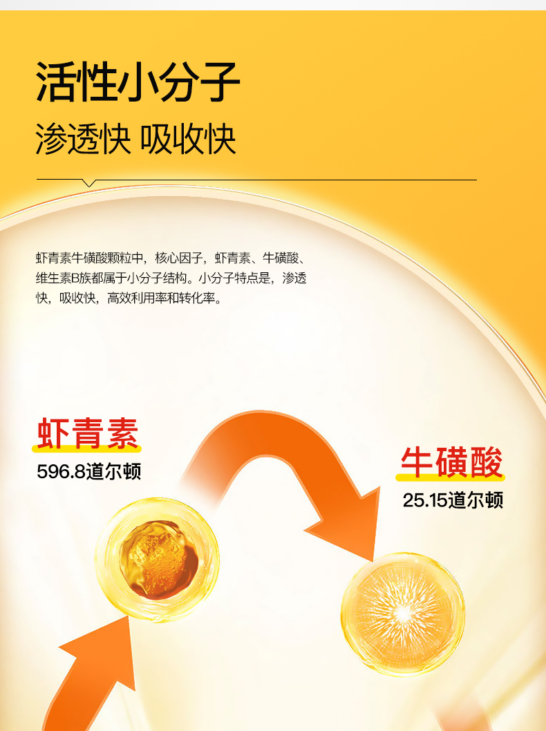 艾诗特南宫电子官网