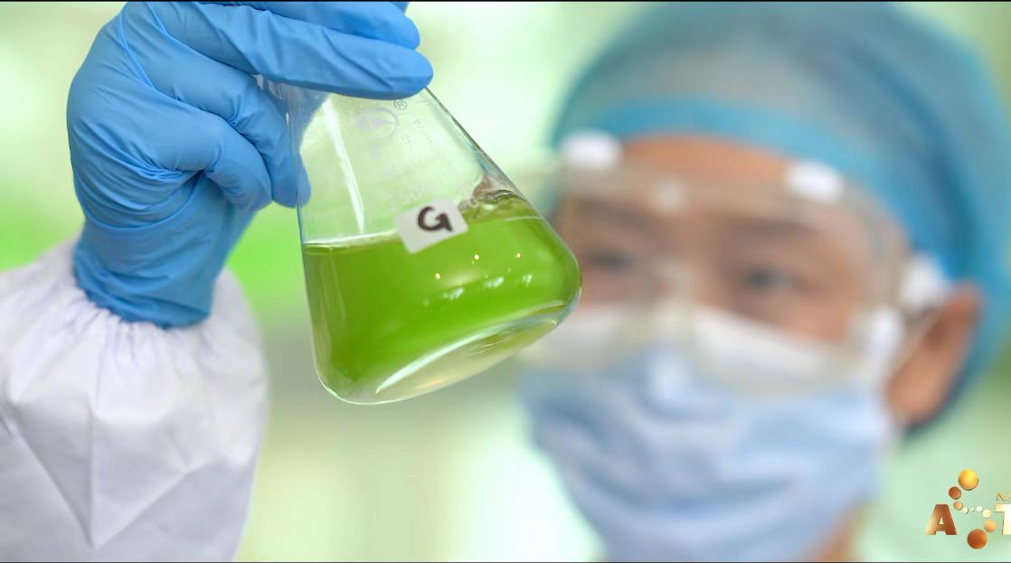 艾诗特南宫电子官网