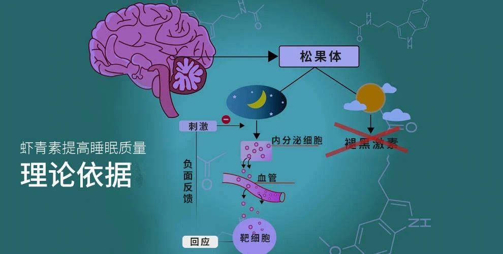 艾诗特南宫电子官网