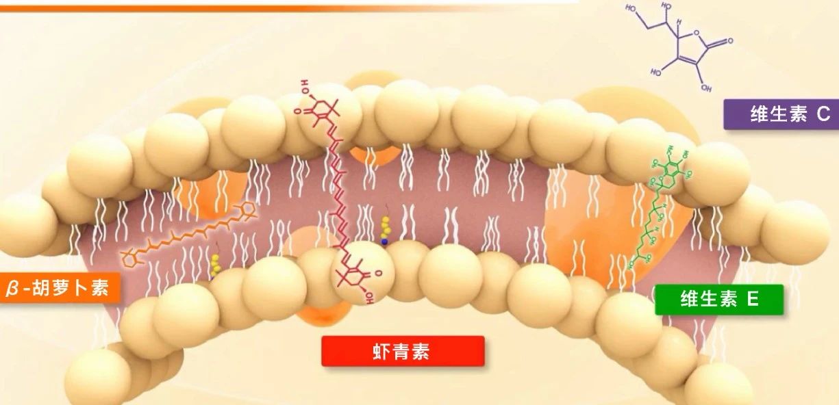 艾诗特南宫电子官网