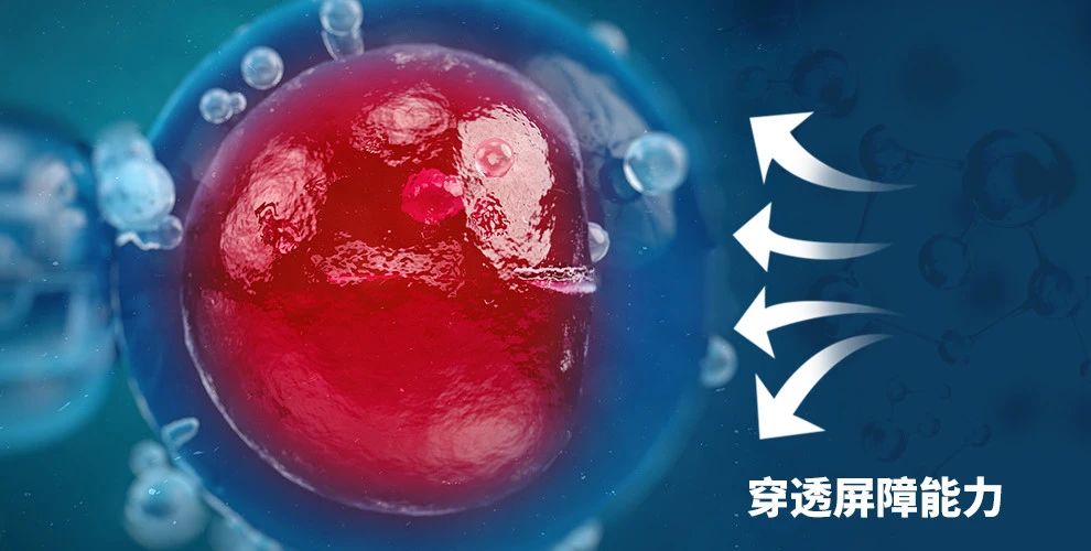 艾诗特南宫电子官网