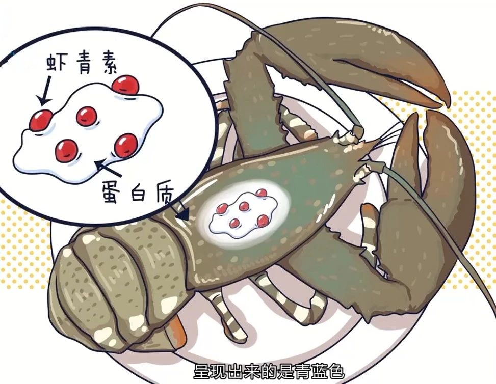 艾诗特南宫电子官网