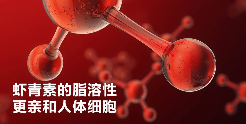 艾诗特南宫电子官网 艾诗特南宫电子官网