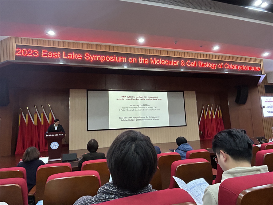 艾诗特南宫电子官网