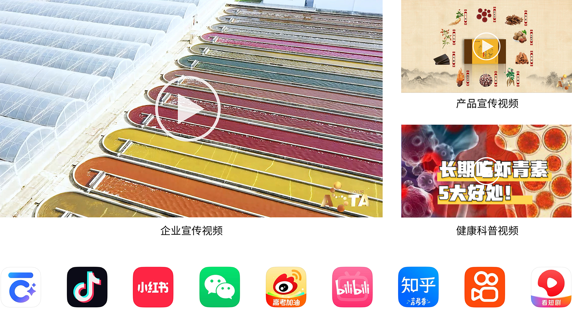 艾诗特南宫电子官网