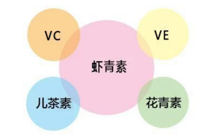 艾诗特南宫电子官网 艾诗特南宫电子官网