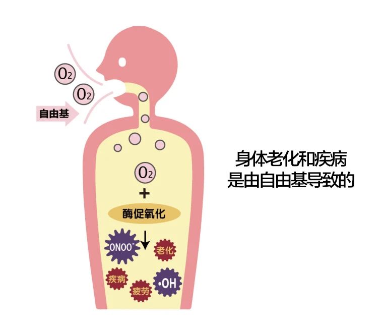 艾诗特南宫电子官网 艾诗特南宫电子官网