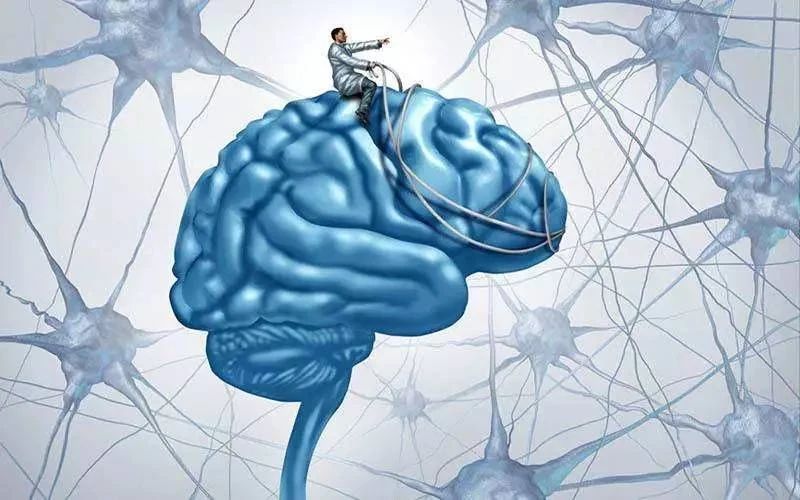 艾诗特南宫电子官网