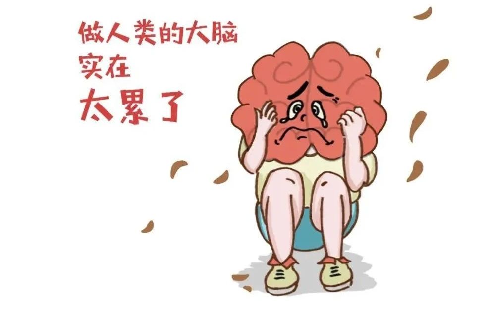 艾诗特南宫电子官网
