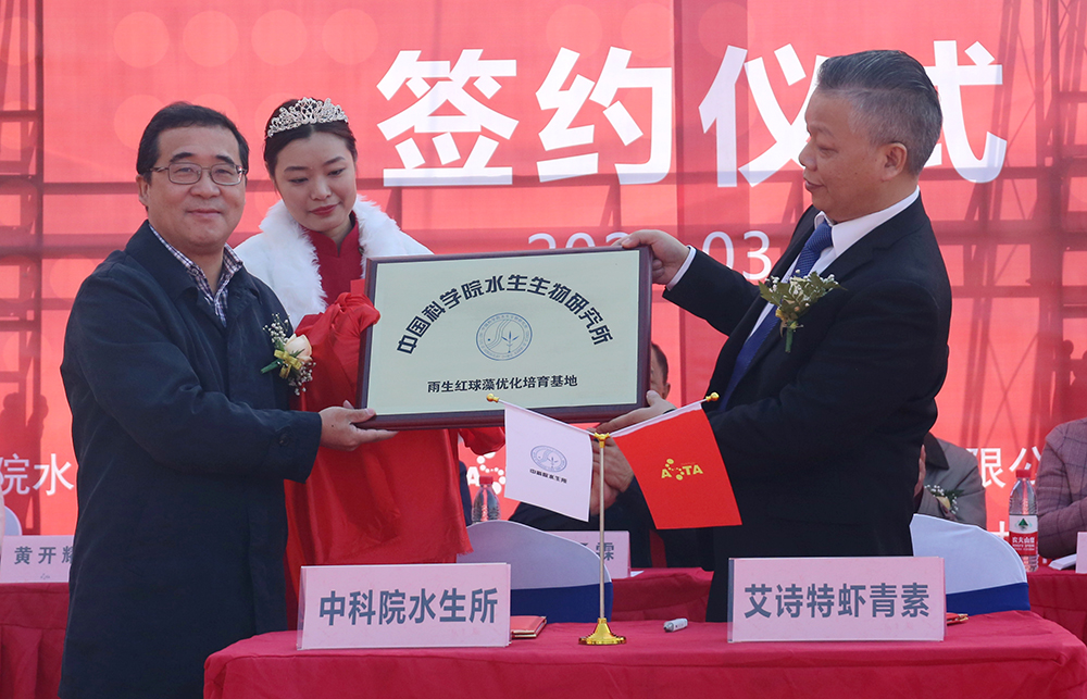艾诗特南宫电子官网 艾诗特南宫电子官网