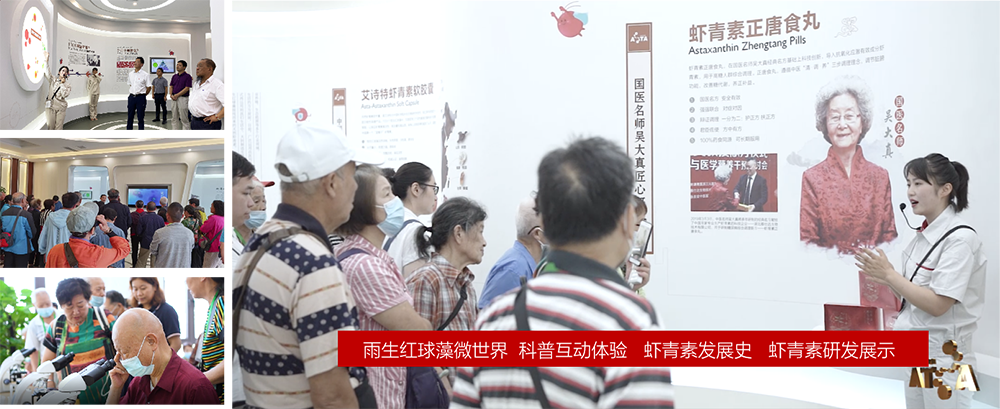 艾诗特南宫电子官网 艾诗特南宫电子官网