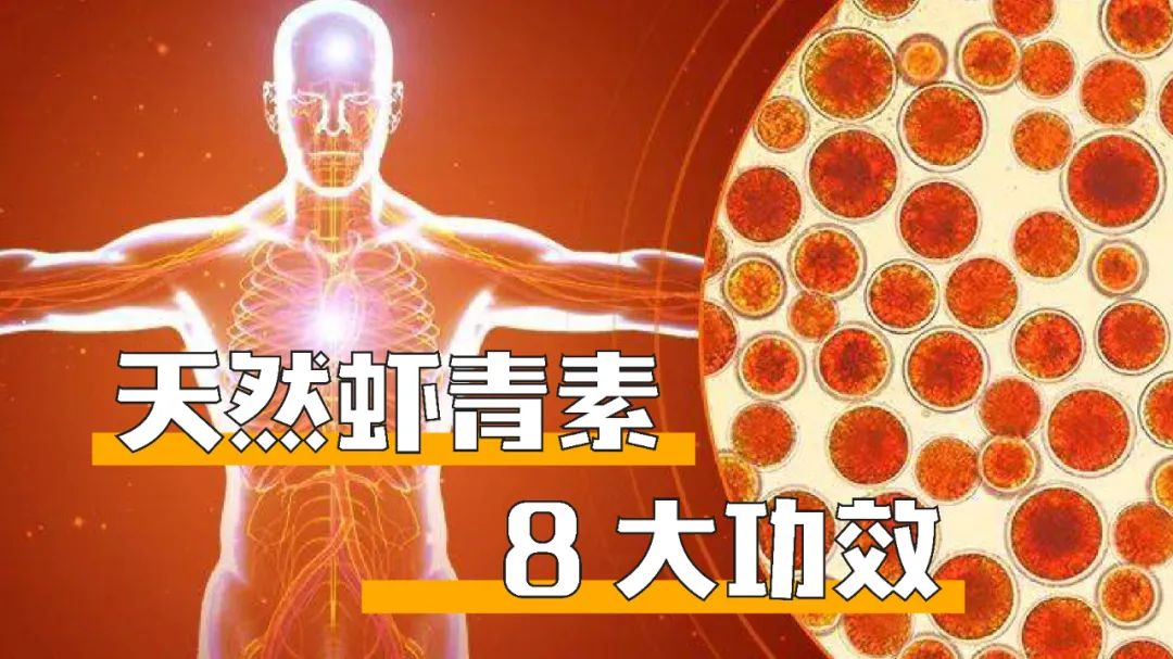 艾诗特南宫电子官网