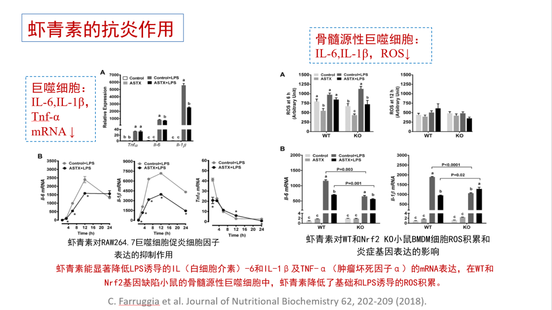 艾诗特南宫电子官网