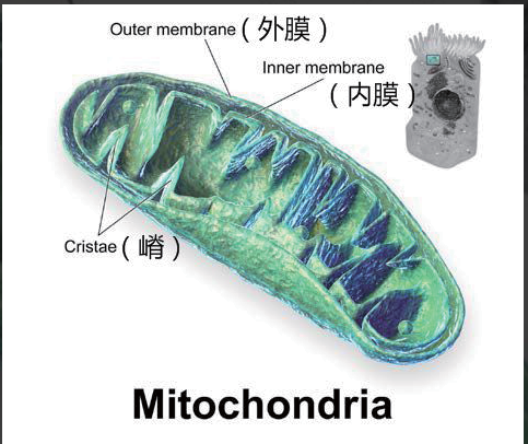 艾诗特南宫电子官网