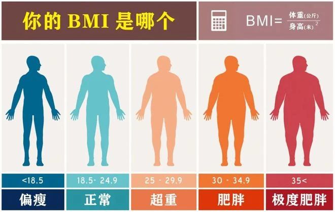 艾诗特南宫电子官网