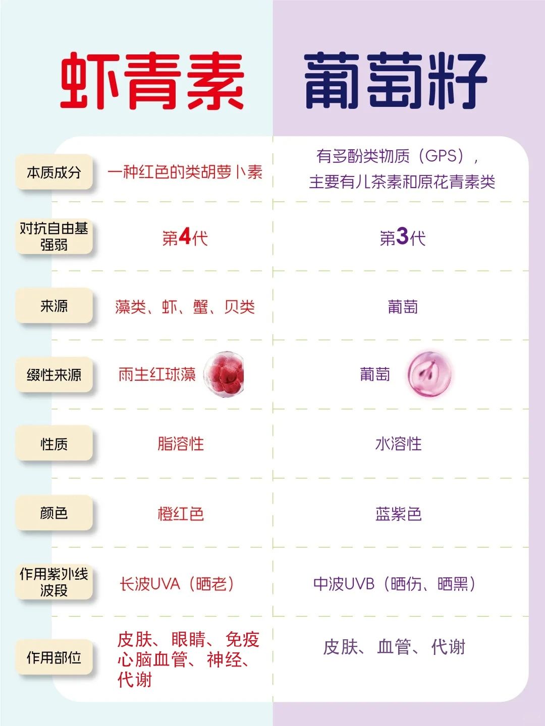 艾诗特南宫电子官网