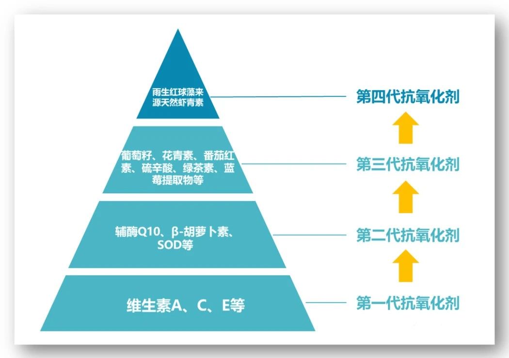 艾诗特南宫电子官网