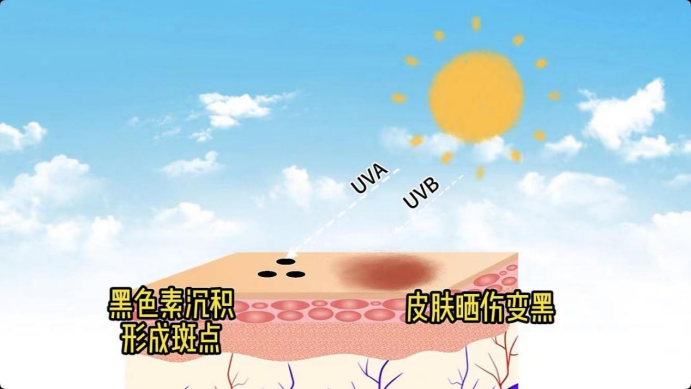 艾诗特南宫电子官网 艾诗特南宫电子官网