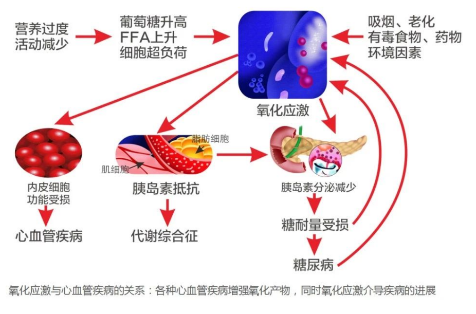 艾诗特南宫电子官网
