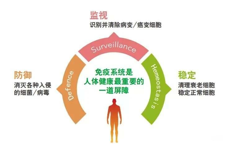 艾诗特南宫电子官网