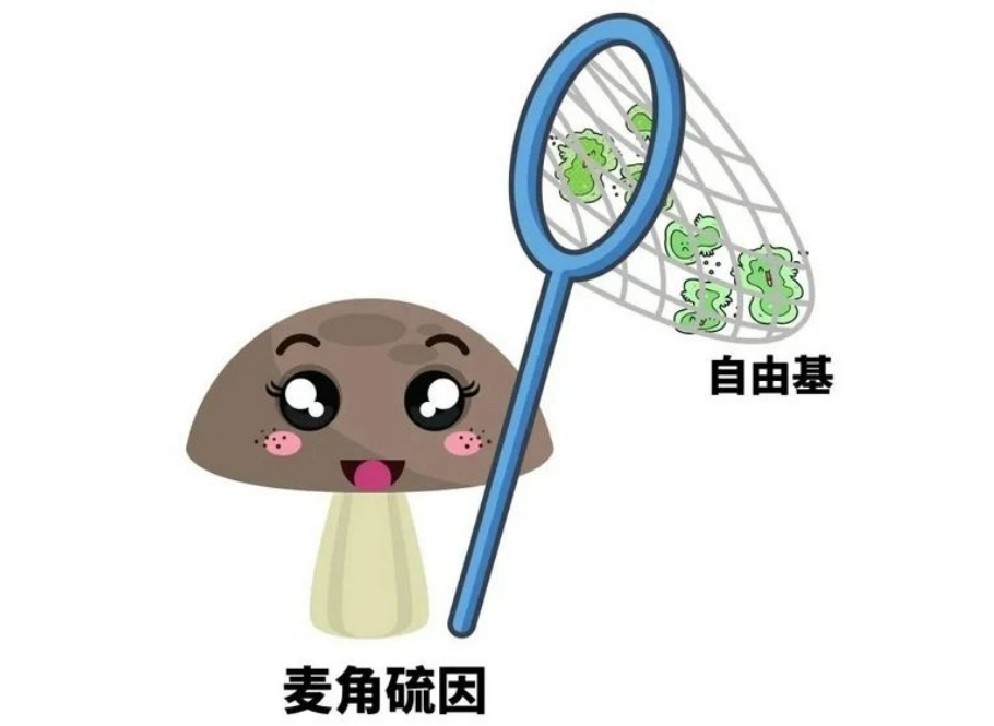 艾诗特南宫电子官网