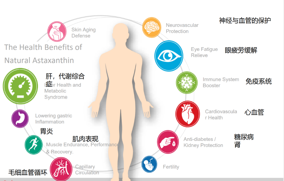 艾诗特南宫电子官网 艾诗特南宫电子官网