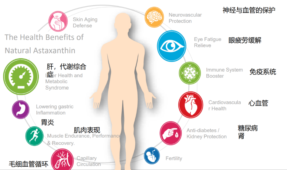 艾诗特南宫电子官网