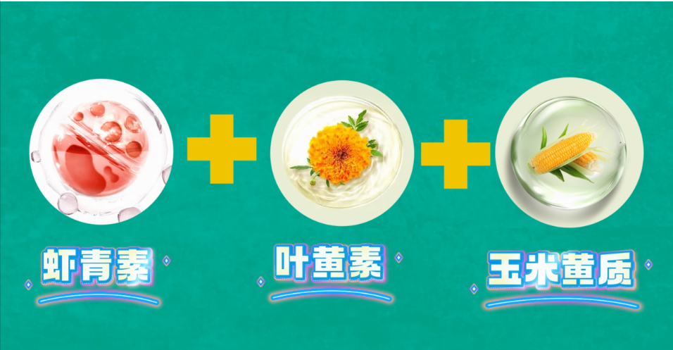 艾诗特南宫电子官网 艾诗特南宫电子官网