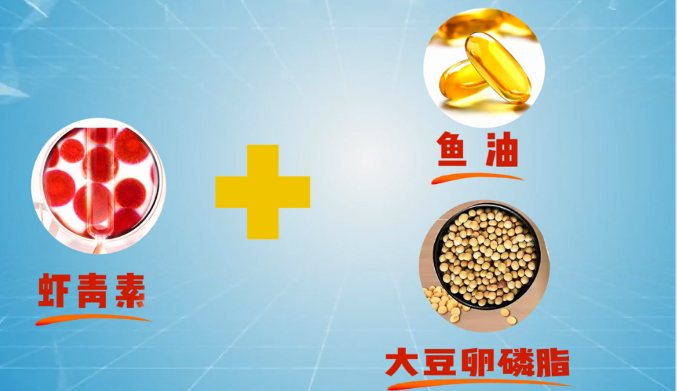 艾诗特南宫电子官网 艾诗特南宫电子官网
