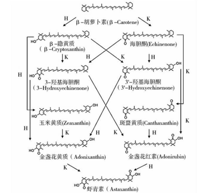 艾诗特南宫电子官网 艾诗特南宫电子官网