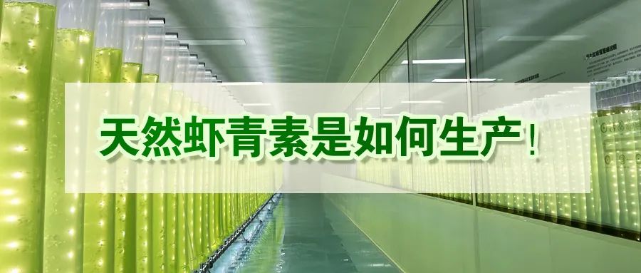 艾诗特南宫电子官网 艾诗特南宫电子官网