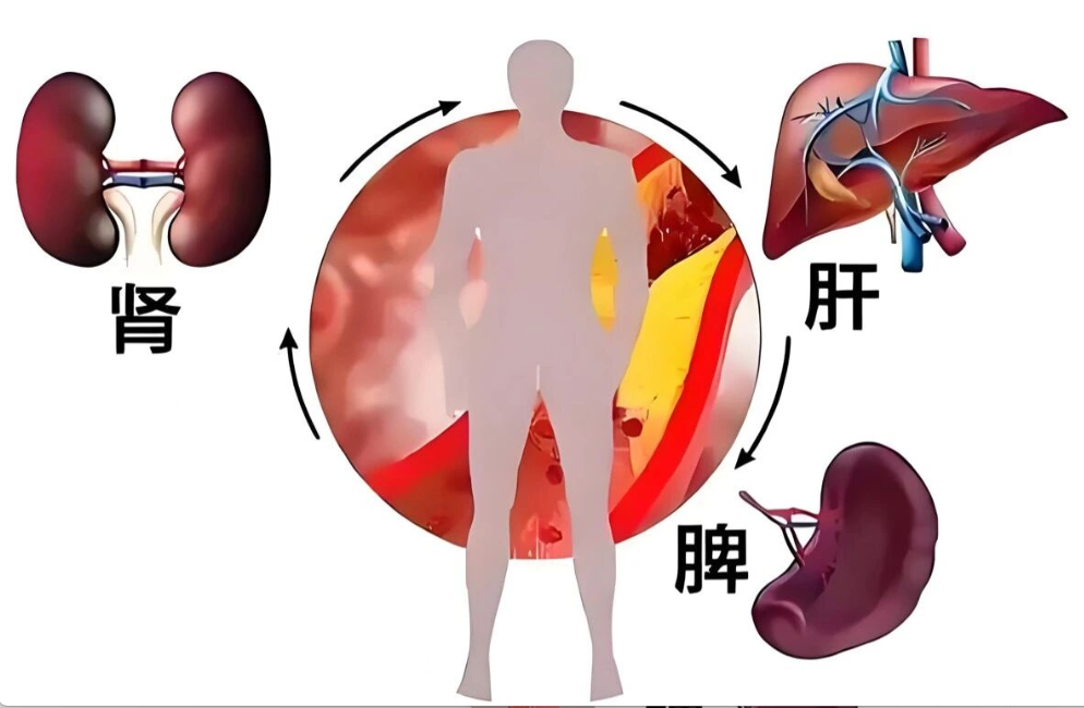 艾诗特南宫电子官网