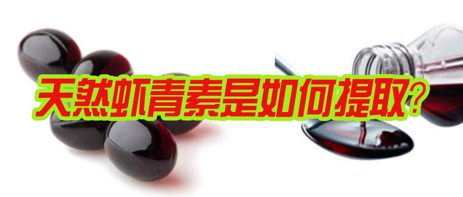 艾诗特南宫电子官网 艾诗特南宫电子官网