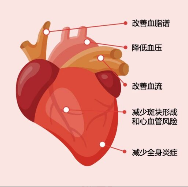艾诗特南宫电子官网