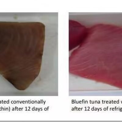 湖北农科院：：：南宫电子官网对肉类抗氧化钻研