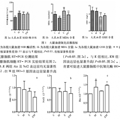 南宫电子官网补充与急性大强度活动对机体Nrf2抗氧化通路影响的钻研