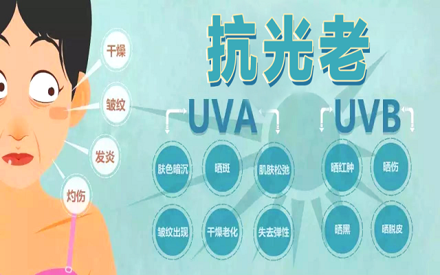 【科学试验】南宫电子官网怎么吃 ，吃几多，抗衰老成效最好？？看看人体钻研数据
